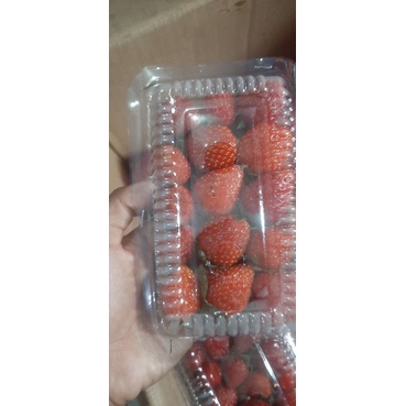 

aneka buah