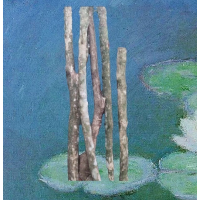 Kayu kopi panjang 1 meter