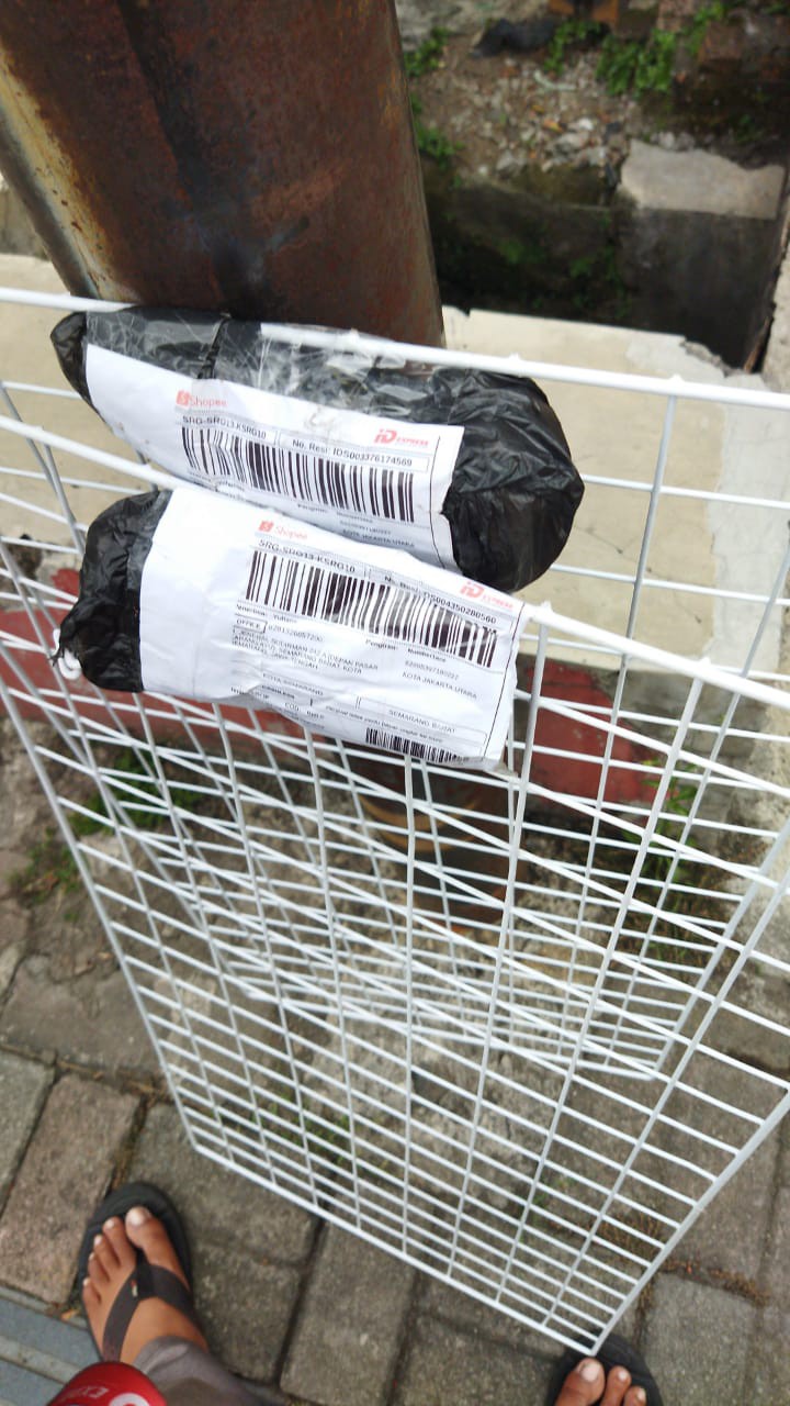 Cantolan Ram Single 10cm