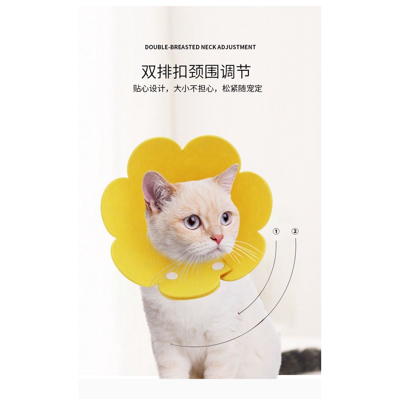 PH.Medan Pet Protection Collar Colar Anjing Kucing Pelindung Penutup Leher