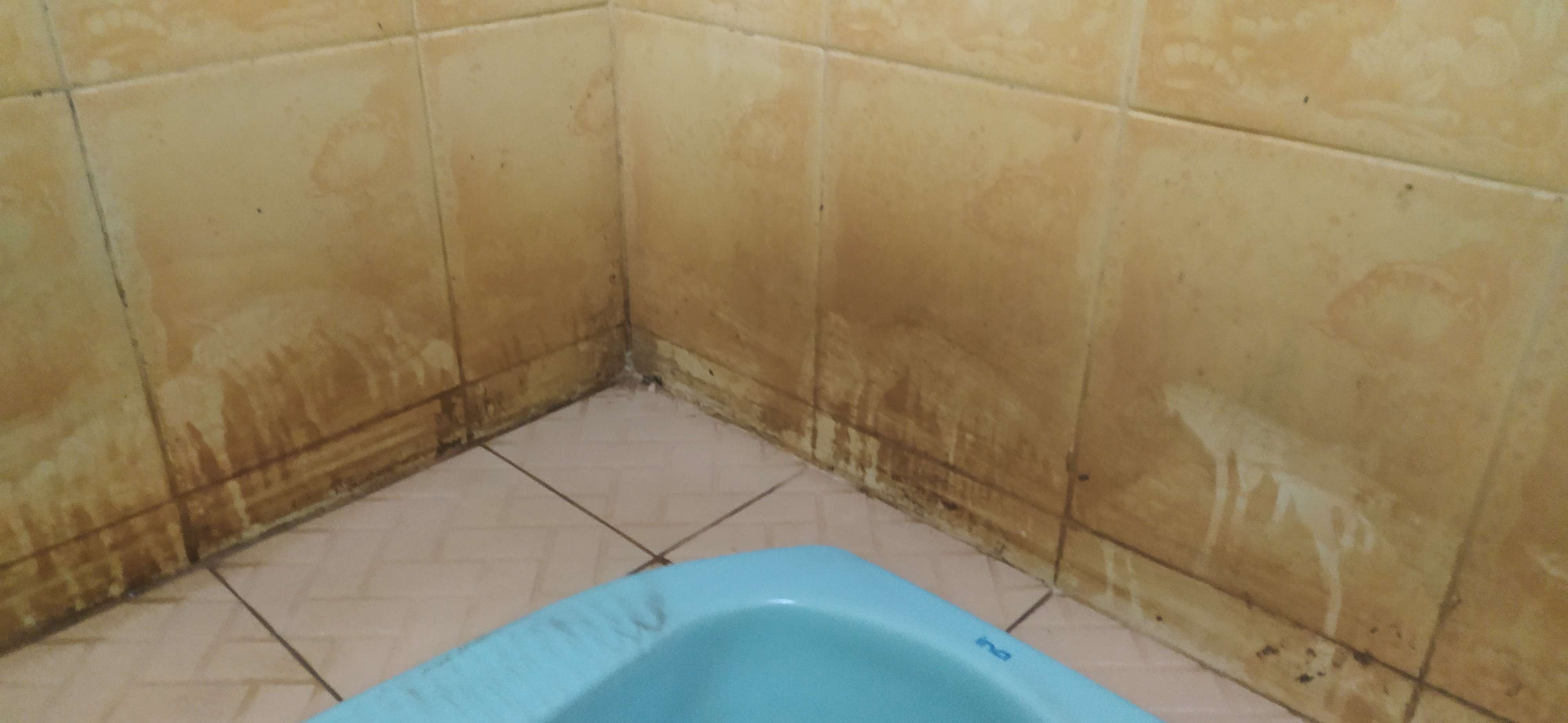 Kezclean Kemasan 1 Liter X 2