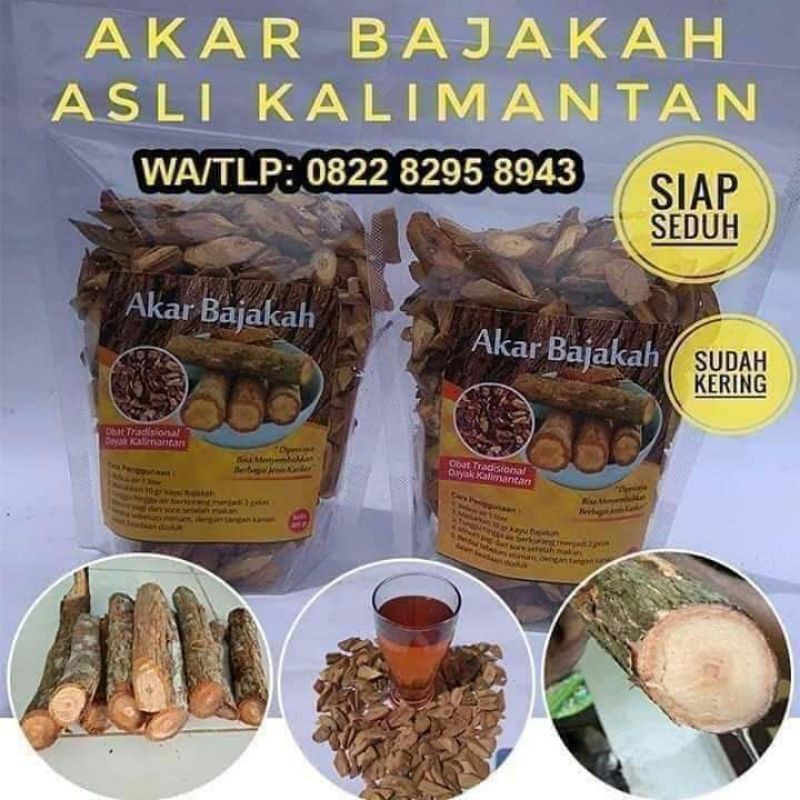 

Akar bajakah asli kalimantan