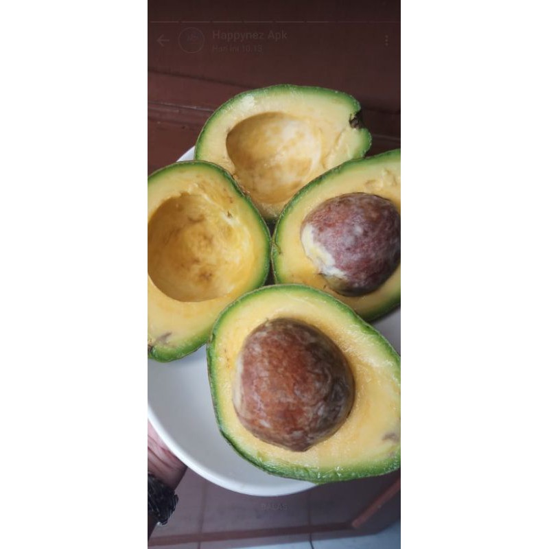 

Alpukat Mentega manado