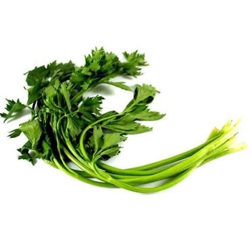 

Daun Selederi 100gr pasar Bandung Berkah
