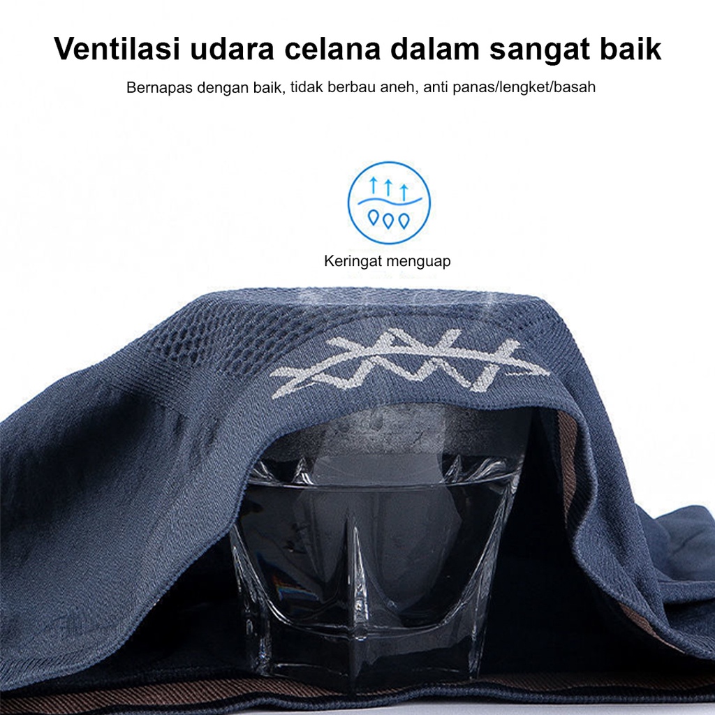 Celana Dalam Boxer Pria Import 3d Magnetic Boxer Pria All Size