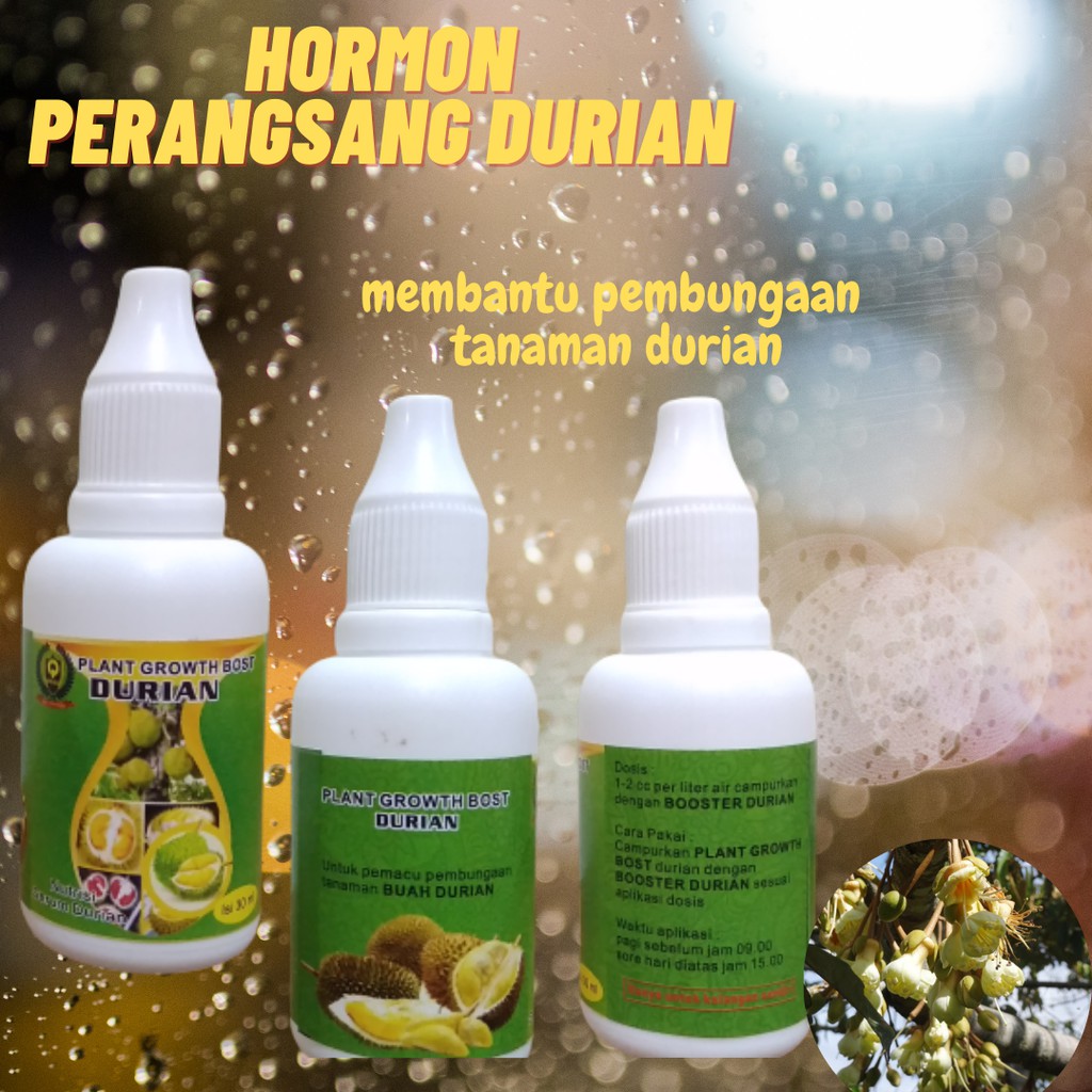 Pupuk Hormon Durian agar tidak rontok, vitamin durian cepat berbunga