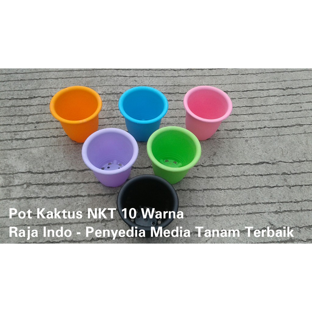 Pot Kaktus Nkt 10 Biru Orange Hijau Kuning Dll Pot Plastik Hijau Bibit Kaktus Orange