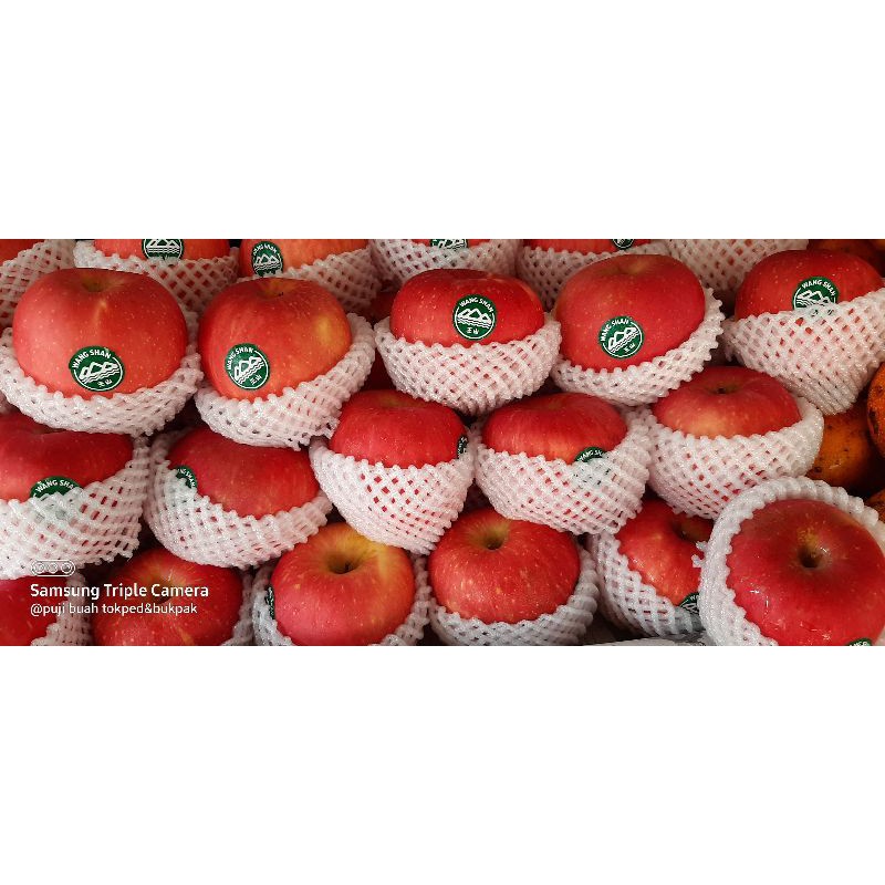 Apel fuji wang shan premium