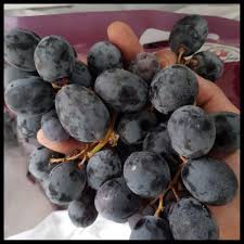 Anggur Adora Tanpa Biji 1Kg