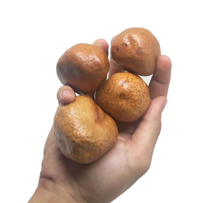 

Oleh-oleh Haji Buah Zuriat Buah Doum 1kg