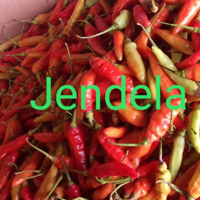 

Ready- Cabe Rawit Merah Jablay Setan Galak 1 Kg - Tidak Petik