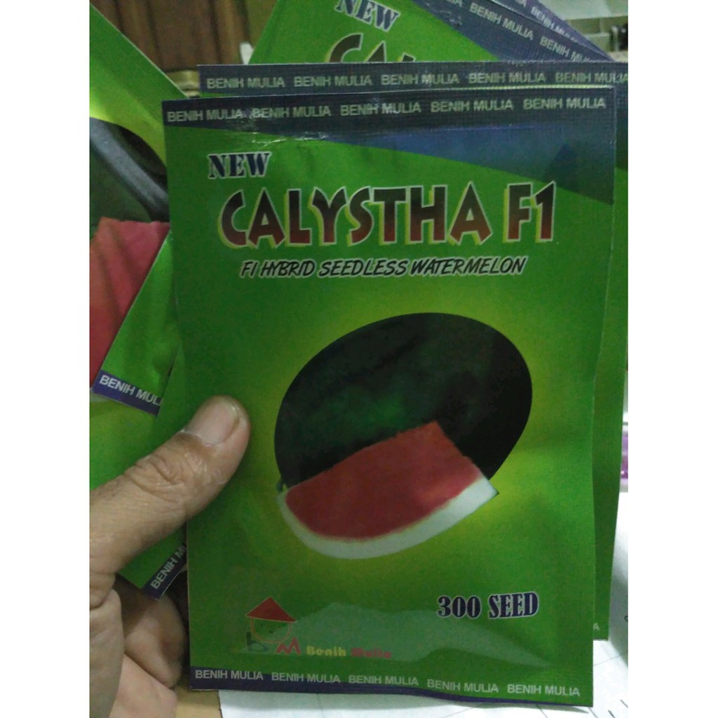 

semangka nonbiji oval CALYSTHA 300 biji