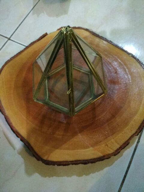 Satu Set Tempat Cincin Pengait Dan Woodslice