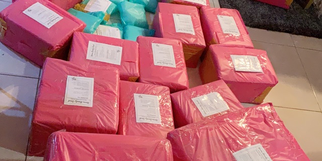 Toko Online Fawers Earring Shopee  Indonesia