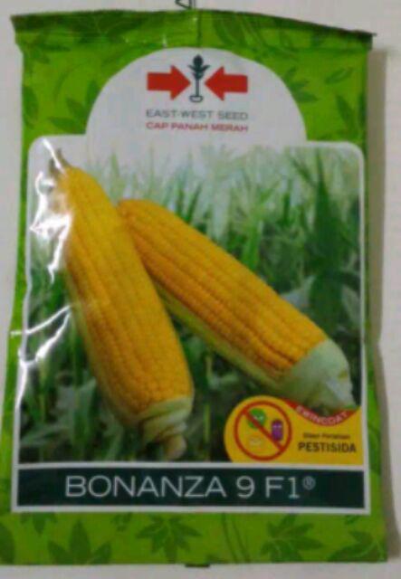 Benih Jagung Manis Bonanza F1 200 Butir