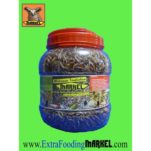 

Ulat Hongkong Kering Utuh 500gr Toples