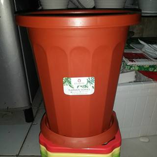  Pot  bunga  claris  5717 plus tatakan Shopee Indonesia