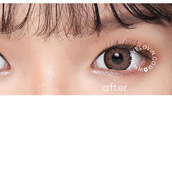 ✬ EYELOVIN Softlens Mite Clair - Tania Brown ✲