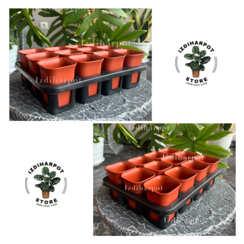 1 set Tray + pot bunga nkt kotak 5cm MERAH BATA | tray semai bibit