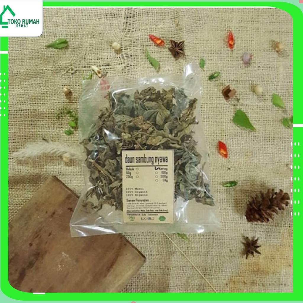 

DAUN SAMBUNG NYAWA KERING 250 GRAM - Gynura Procumbens - MURNI -