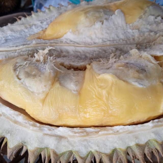 

Durian