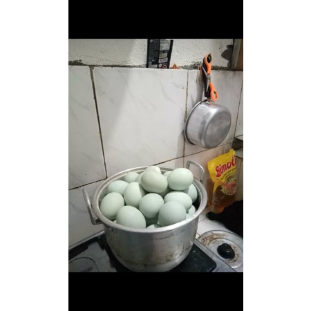 

TELOR ASIN BUK AMI