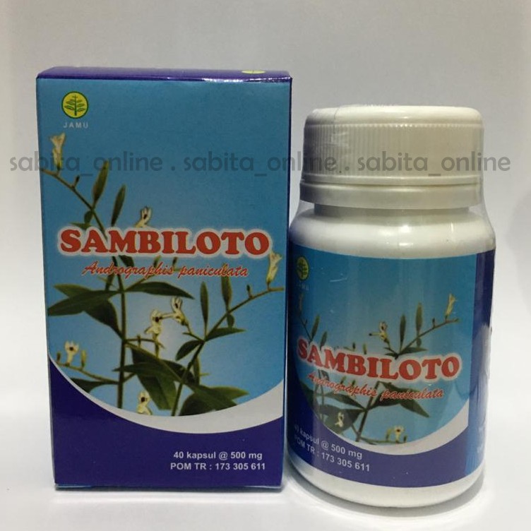 

SAMBILOTO (Obat Herbal Kapsul)