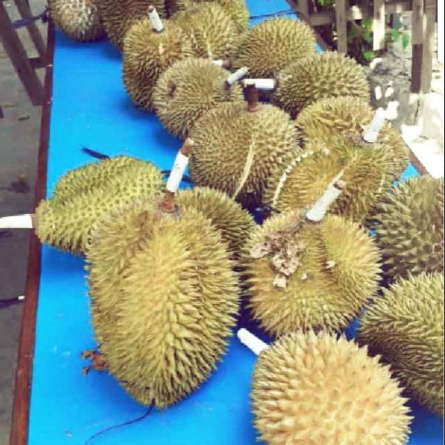

Durian
