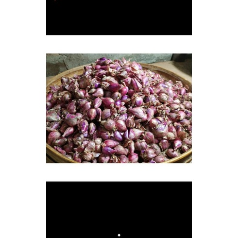 

bawang merah / 250 gram