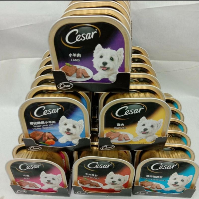 Cesar Wet Dog Food