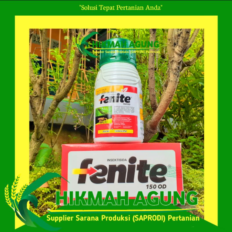 

Insektisida Fenite 150 OD dari Petrokimia kayaku 100ml