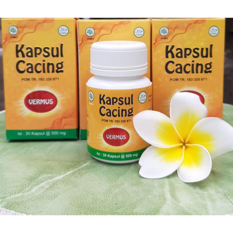 VERMUS Kapsul Cacing 30 Kapsul 500mg - Obat Typus Demam Pegal Pegal - Vermint