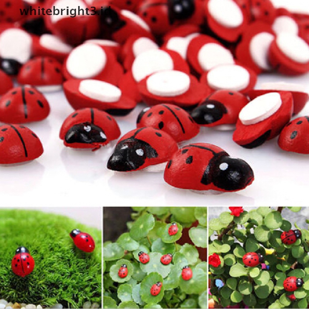 {whitebright3.id} Mini Ladybug Beatles Garden Ornaments Scenery Craft For Plant Pot Fairy Decor ,