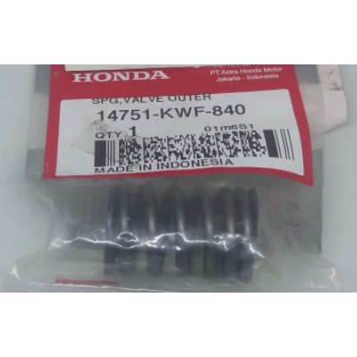 SPRING VALVE OUTER MEGA PRO 2010 14751KWF840
