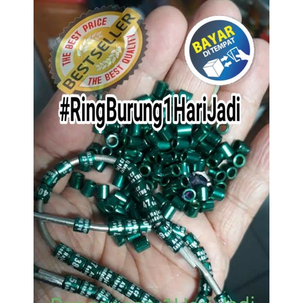 RingBurung Cepat 50Pcs 1Hari Jadi 2 - 5 Warna Standar Lazer Merah Biru Hijau Ungu Gold Hitam