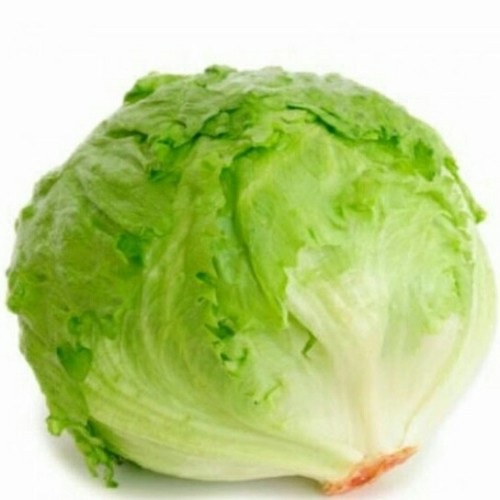 

Selada Lettuce- Lotuse 500 GRAM