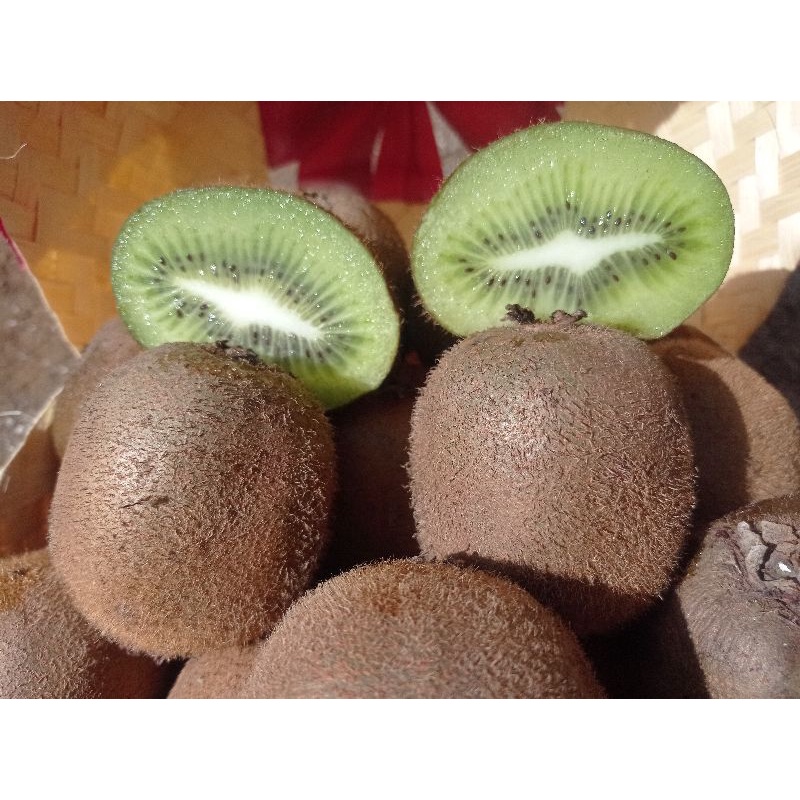 

Green Kiwi / Kiwi Hijau