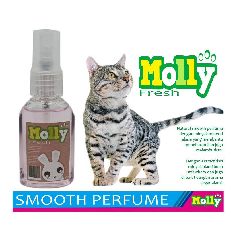 Molly parfum kucing, kelinci, hamster, anjing lembut anti bakteri