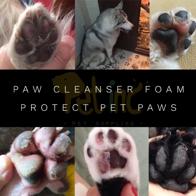 Dr Paw foot cleaning foam