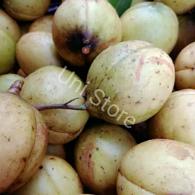 

500 gr buah pala segar
