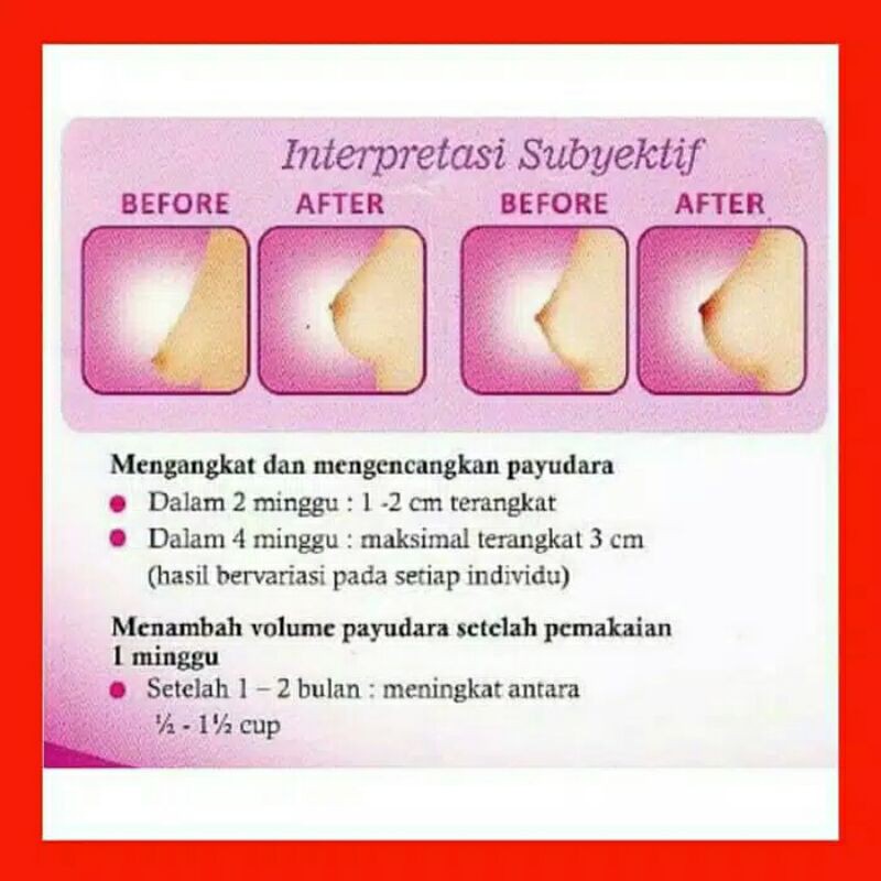 ⭐️ Jendela Kosmetik ⭐️ Vienna Breast Cream / Cream Vienna Payudara / Cream Payudara / Pengencang Payudara BPOM / Vienna Breast Cream / Cream Pembesar Payudara