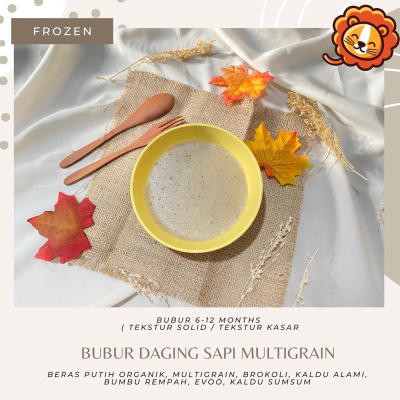 BUBUR 4⭐️ MPASI LENGKAP (FROZEN) / DAIRY FREE/ BUBUR MPASI / 4 KUADRAN