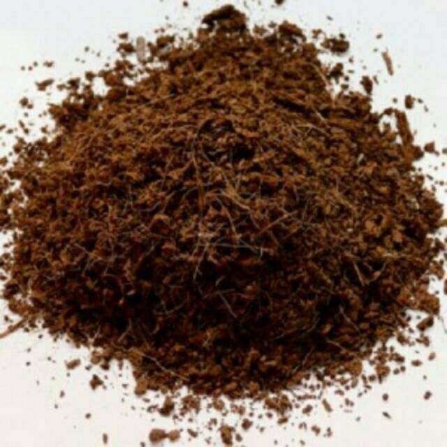 Cocopeat Kasar 5L Media Tanam Hidroponik Cocopit Alas Kandang Reptil