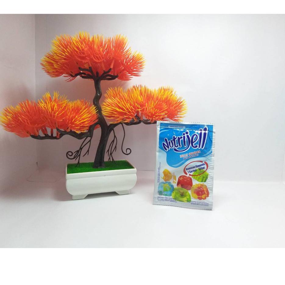 

Update Nutrijell Agar Plain 10gr Tanpa Rasa Nutrijel 1 Box Isi 12 Sachet Agar-Agar Jelly Powder Ekonomis