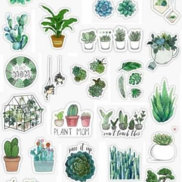 

Milky_pai | sticker plant |aestetic berisi 22 sticker