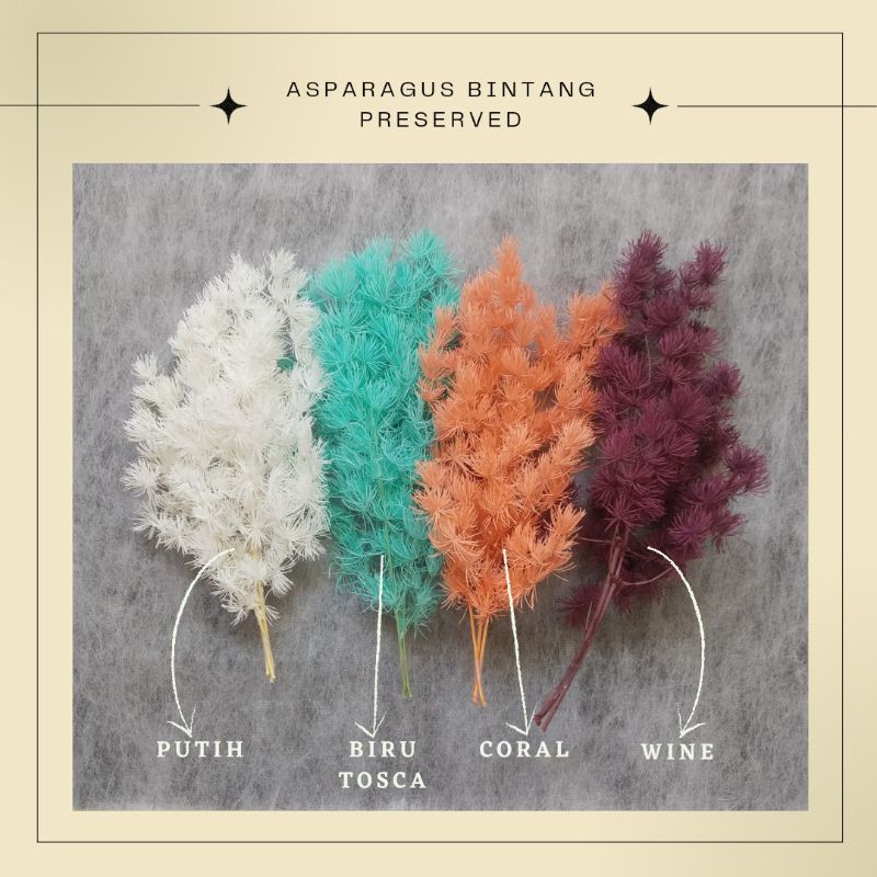 preserved asparagus bintang