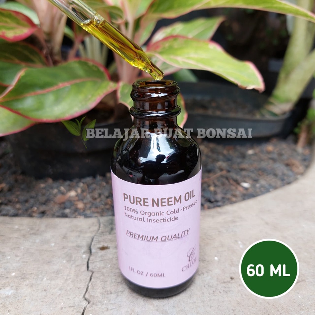 Neem Oil Pure Cold Pressed System 60 ML Premium