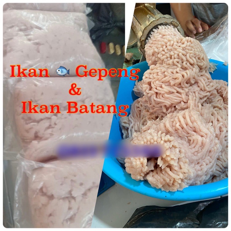 

IKAN GILING GEPENG BEKU DAN NON BEKU KUALITAS PREMIUM