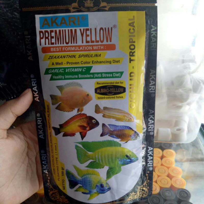 akari premium yellow cichlid