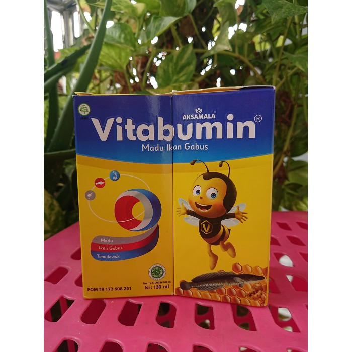Nutrisi tumbuh kembang anak/Vitabumin Madu anak+ Albumin + Pegagan